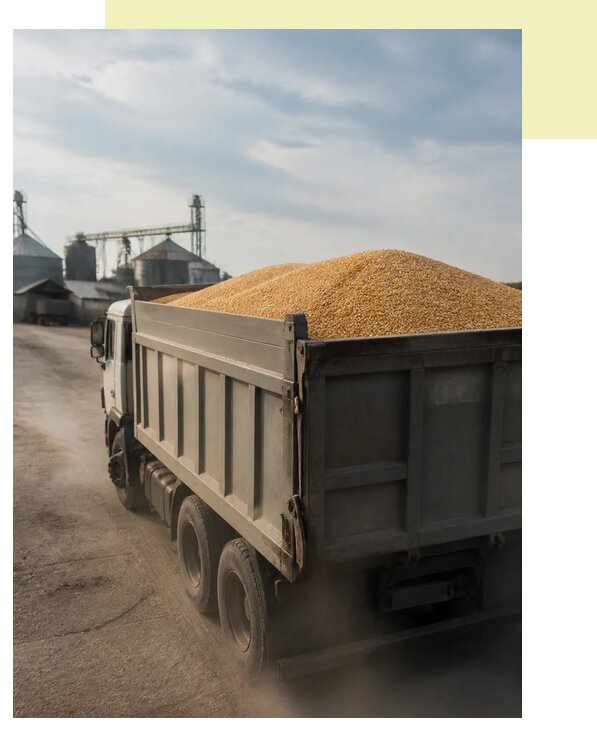 Перевозка сельхозпродукции навалом в Озёрск по цене от 3043 р. | Агросервис-Озр