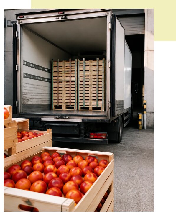 Перевозка нектаринов в Озёрск по цене от 5071 р. | Агросервис-Озр