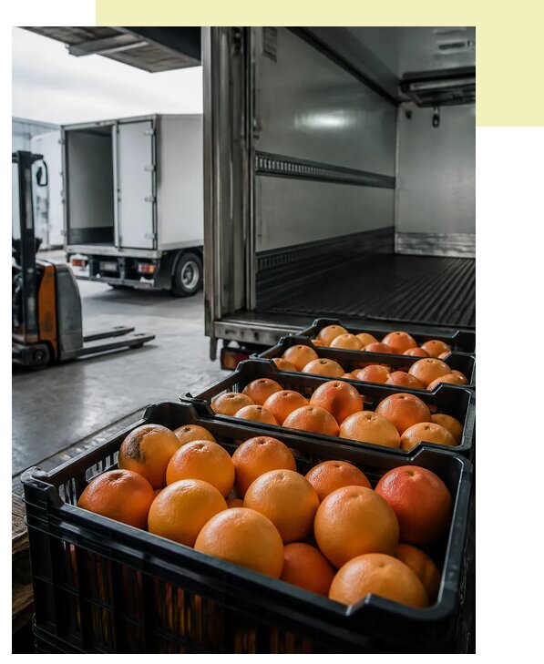 Перевозка грейпфрутов в Озёрск по цене от 5426 р. | Агросервис-Озр
